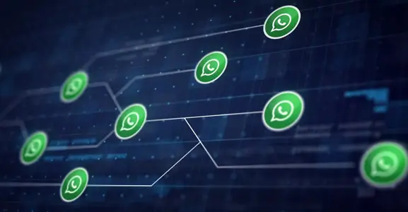 What is WhatsApp Business API?